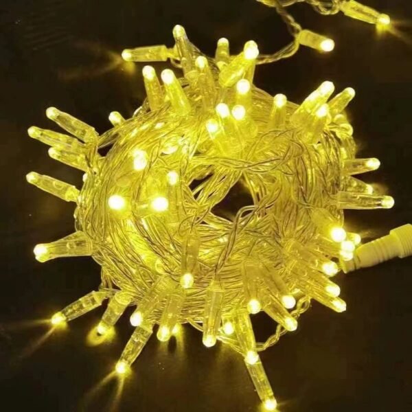 Warm white IP65 LED string lights with clear cable for seasonal commercial displays
